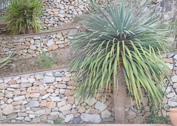 Natural Stone Walls